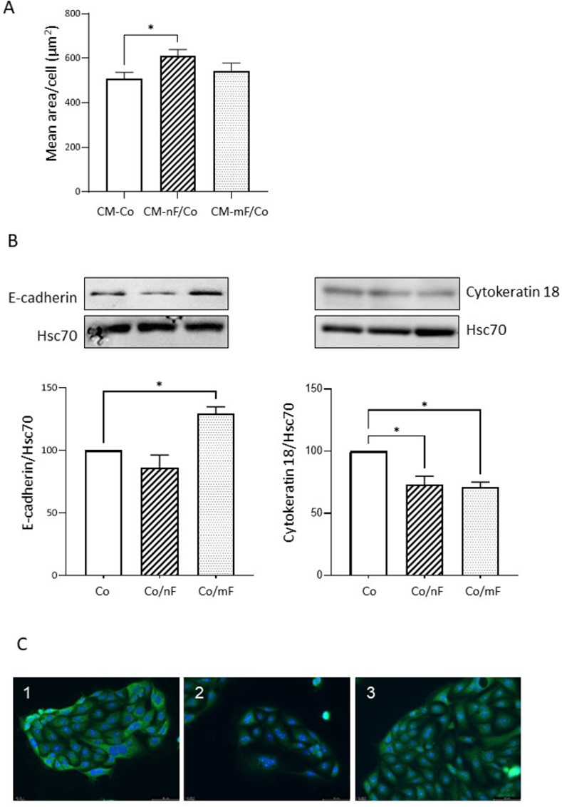 Fig 5