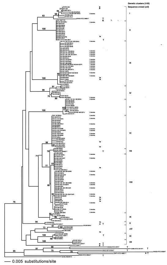 FIG.1.