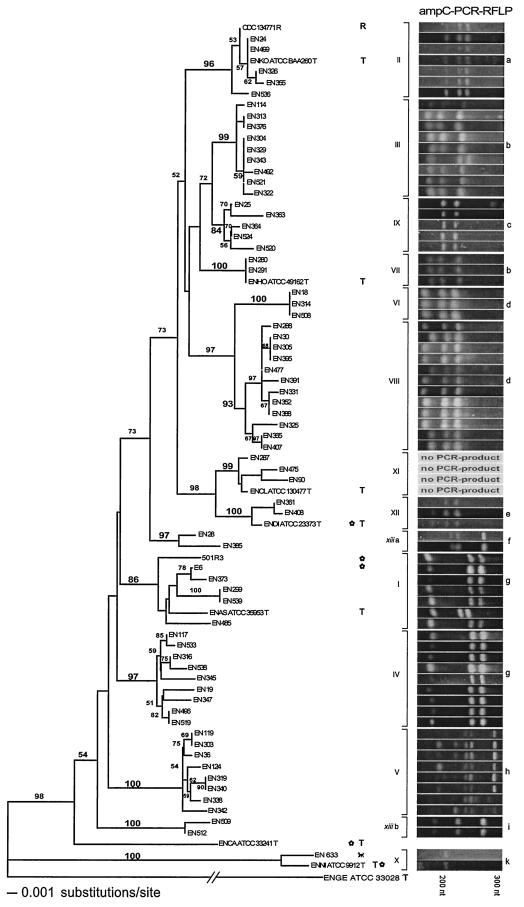 FIG.2.