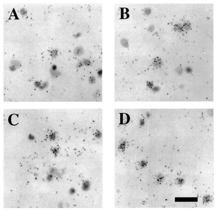 FIG. 6