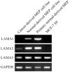 Fig. 8