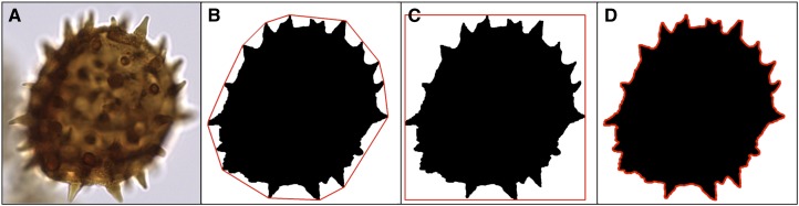 Fig. 3.