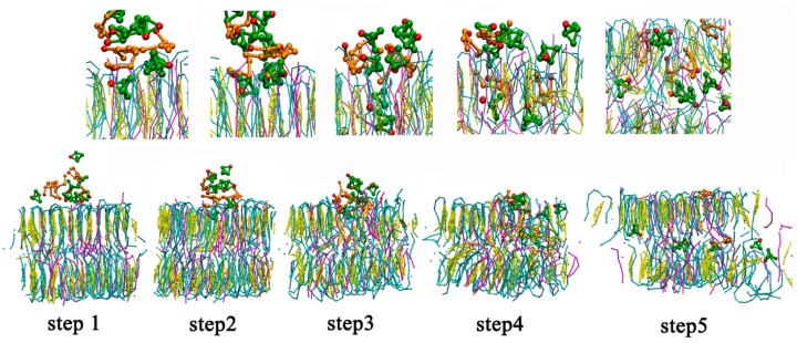 Figure 6