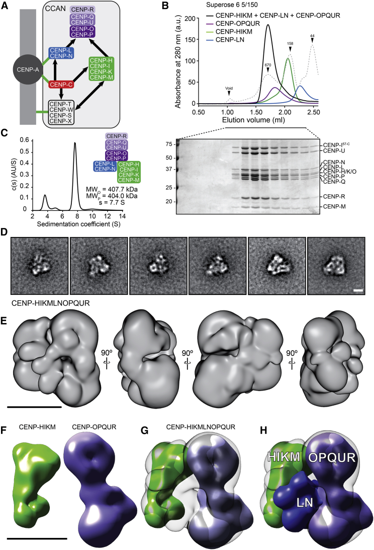 Figure 3