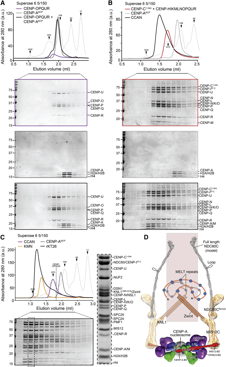 Figure 4