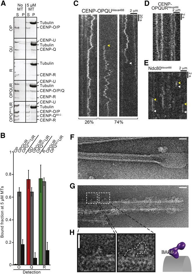 Figure 5