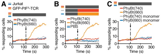 Figure 5—figure supplement 1.