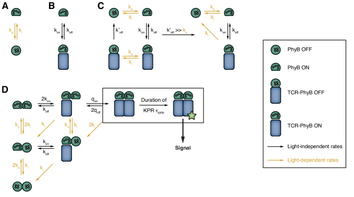 Figure 7—figure supplement 2.