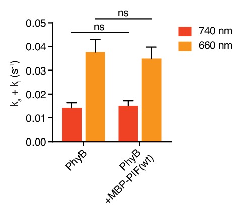 Figure 7—figure supplement 3.