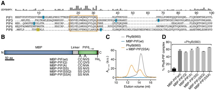 Figure 3—figure supplement 1.