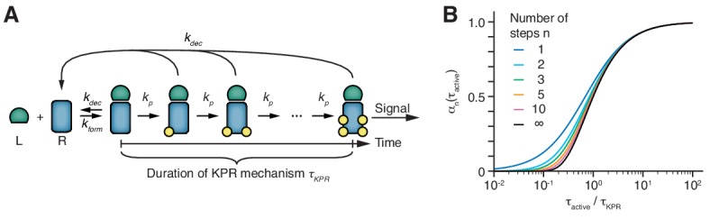 Figure 7—figure supplement 1.