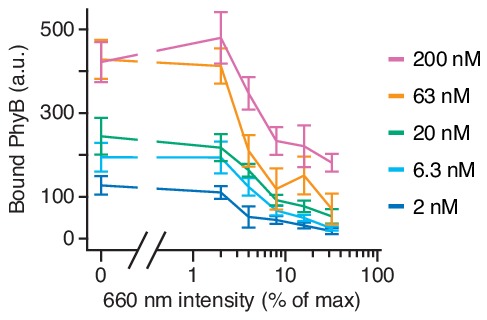 Figure 7—figure supplement 4.