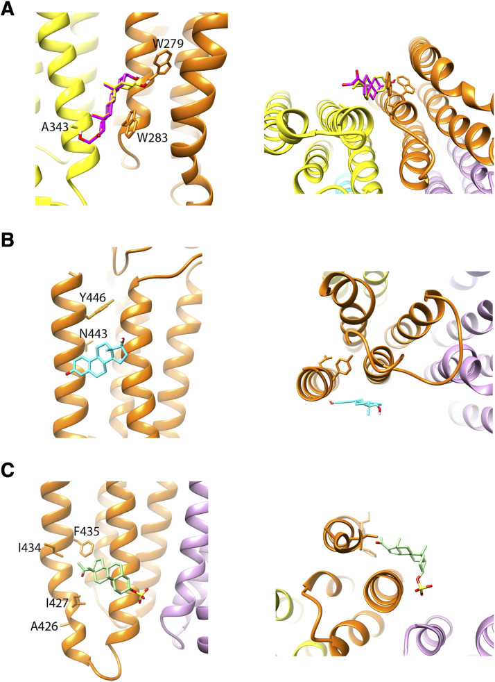 Fig. 7.