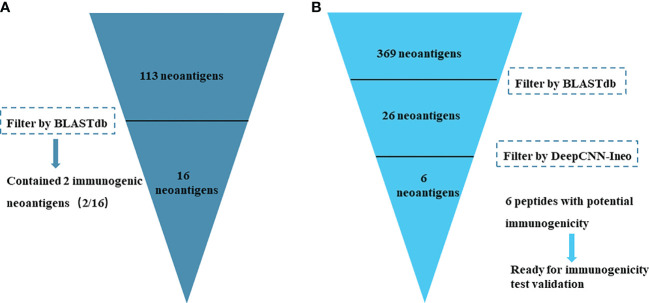 Figure 6