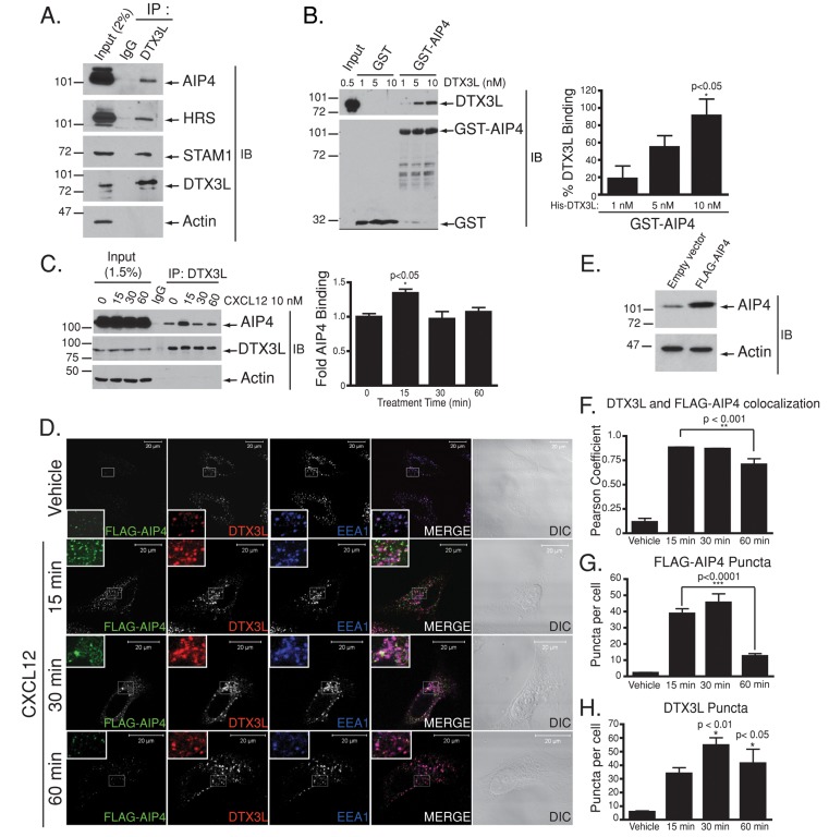 FIGURE 4: