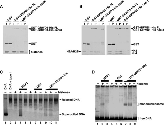 Figure 4.