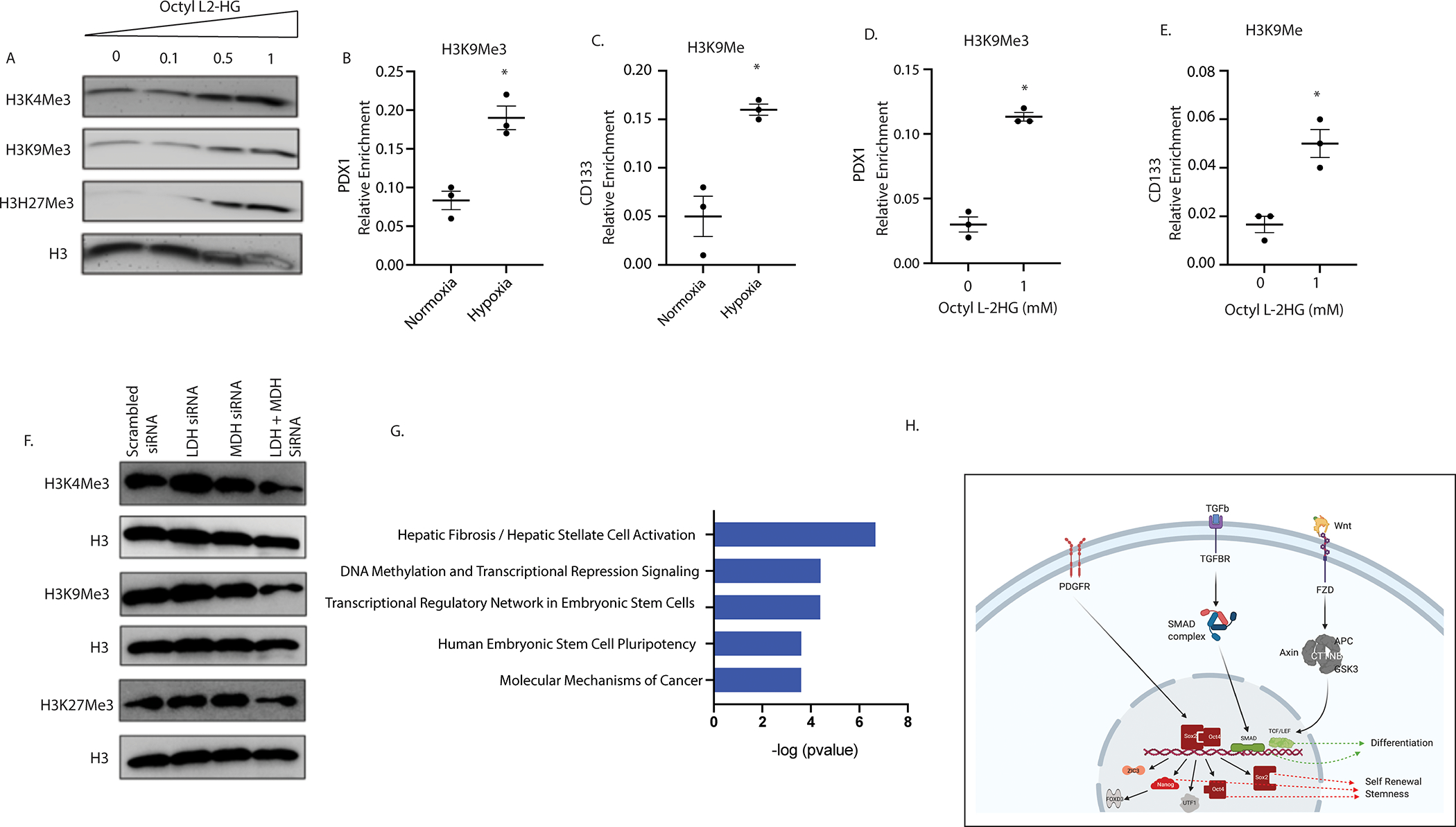 Figure 4: