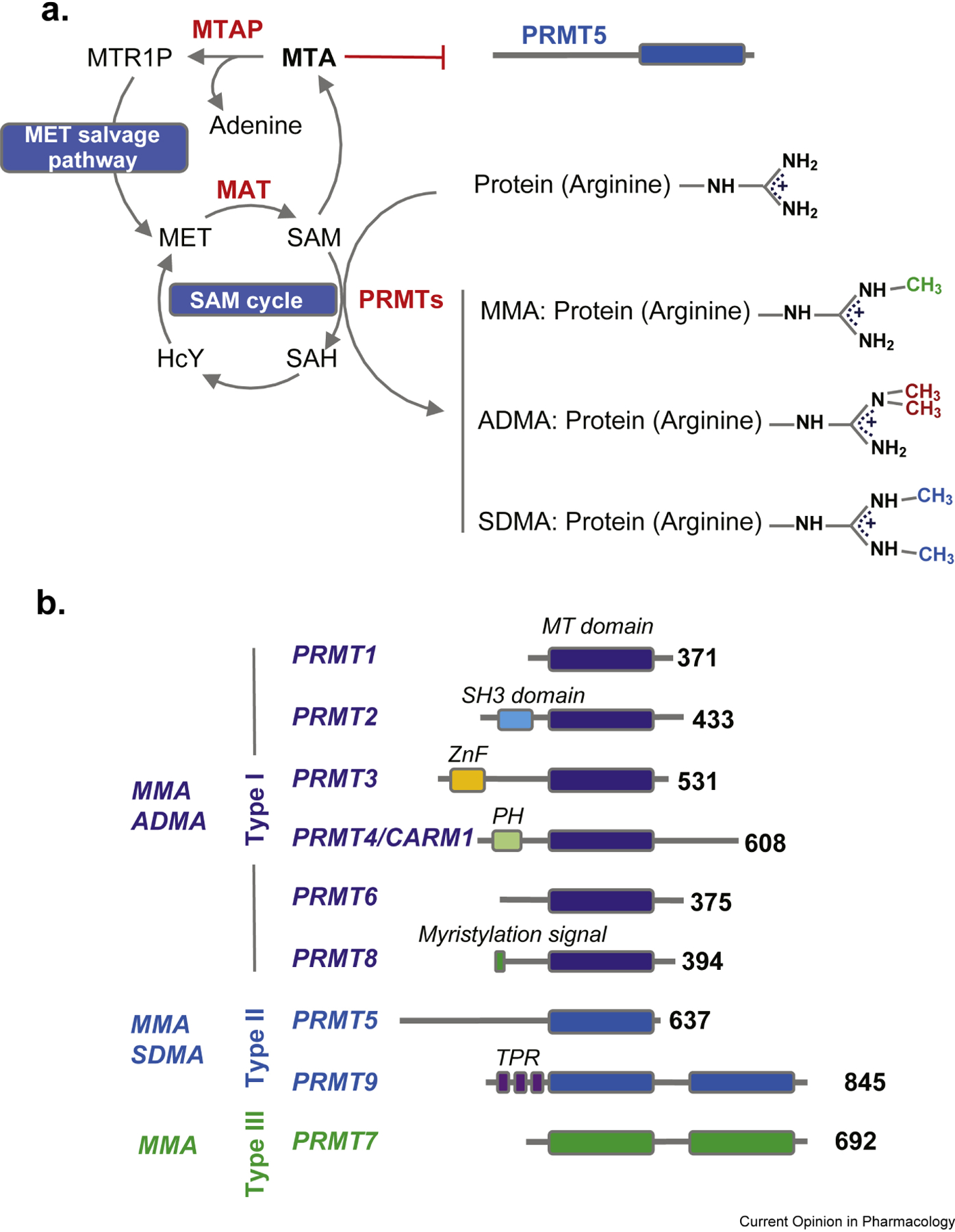 Fig.1.