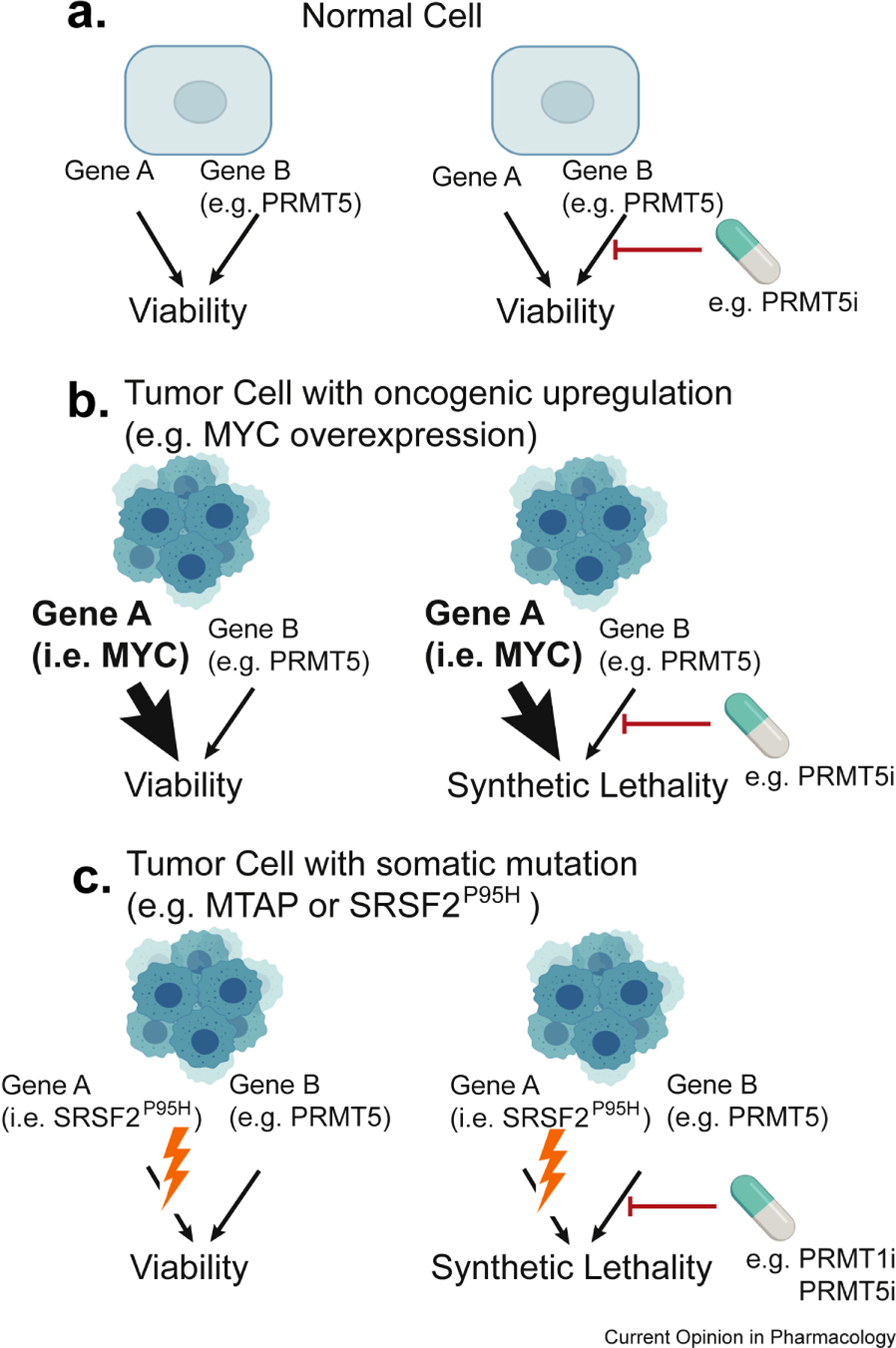 Fig.2.