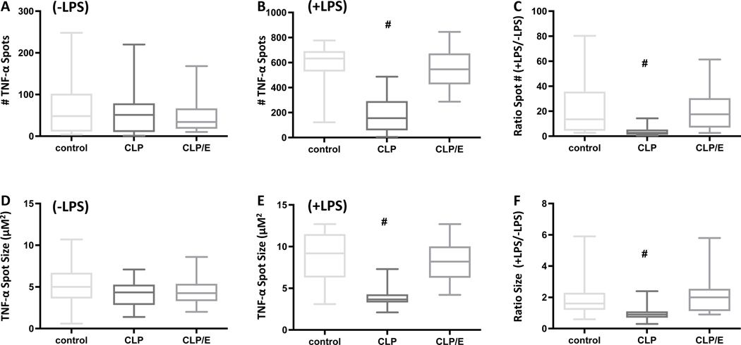 Figure 6: