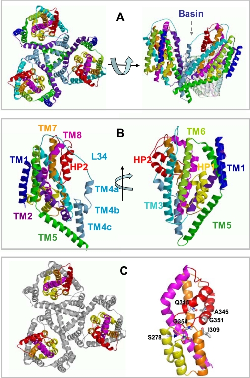 FIGURE 1.