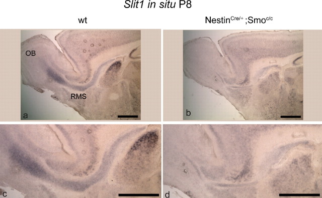 Figure 10.