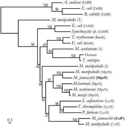 Fig. 2.