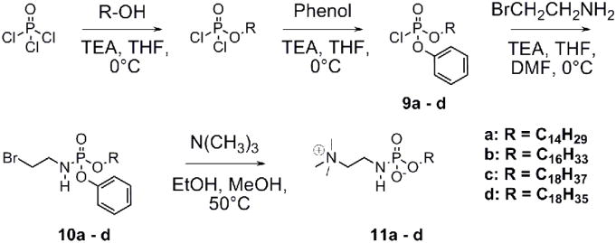 Scheme 3