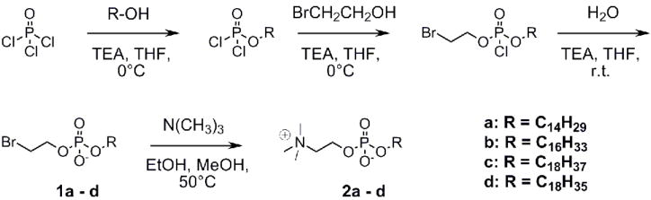 Scheme 1