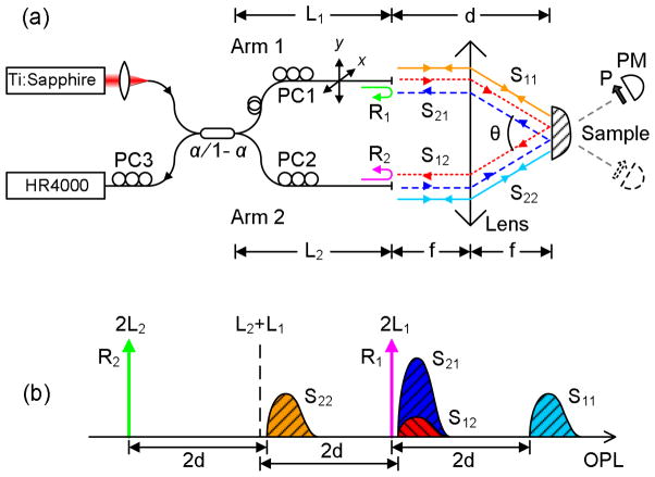 Fig. 1