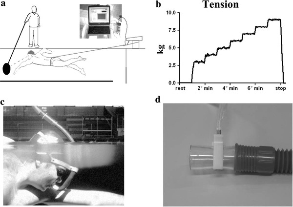 Fig. 1