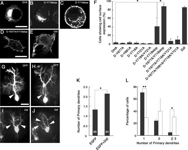 FIG. 8.