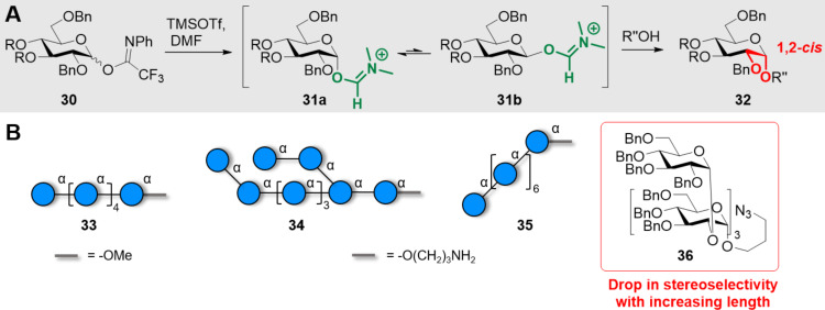 Scheme 5