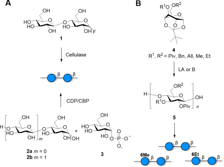 Scheme 1