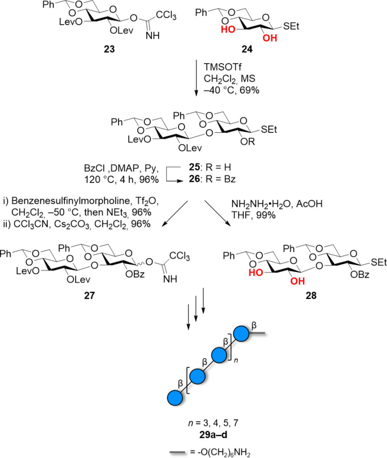 Scheme 4