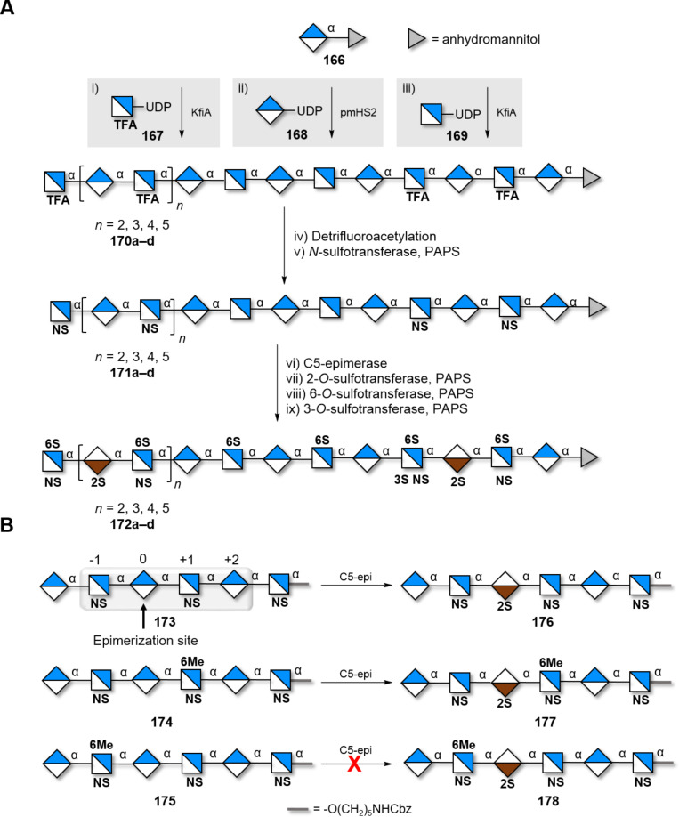 Scheme 22