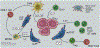 Figure 3: