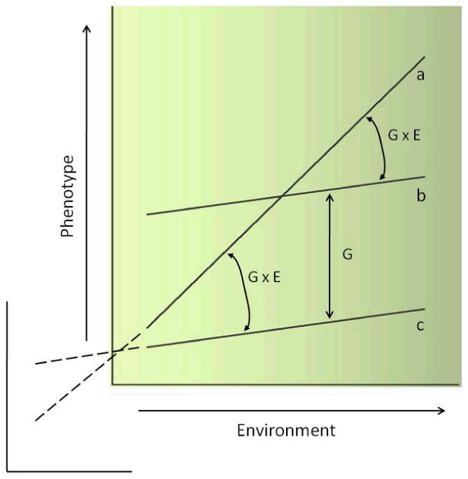 The Reaction Norm in Gene-Environment Interaction - PMC