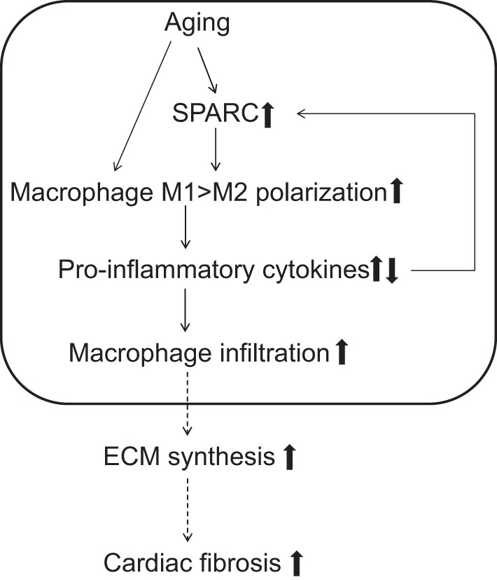 Fig. 9.