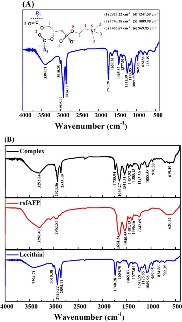 Fig. 6