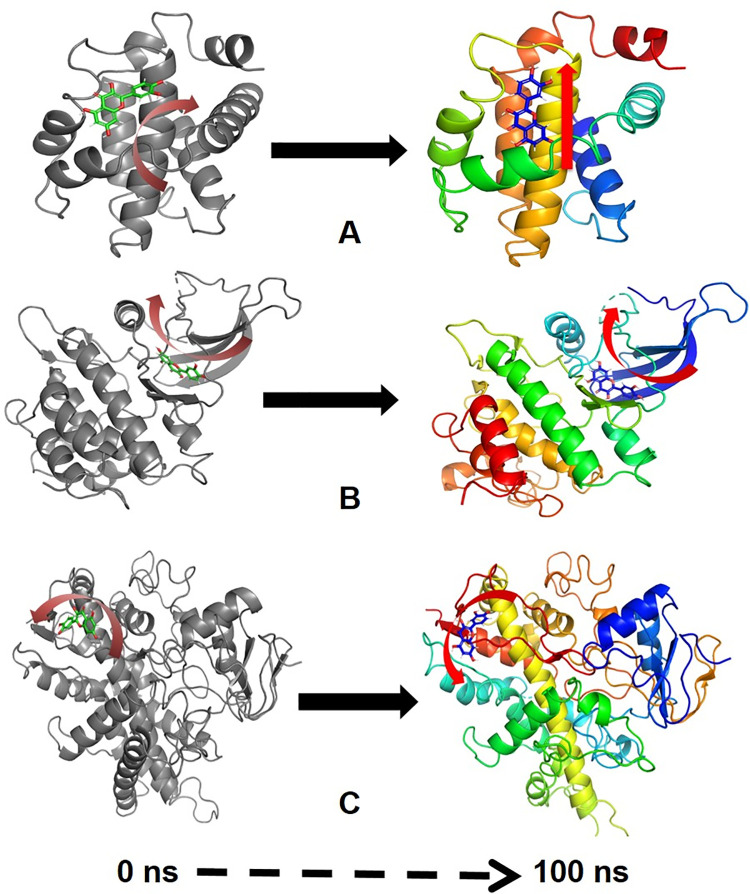 Fig 5