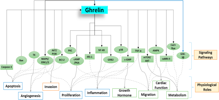 Fig. 3