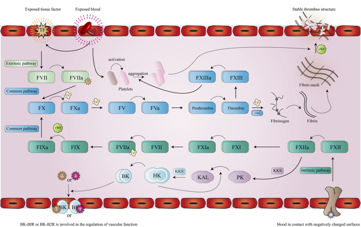 FIGURE 1