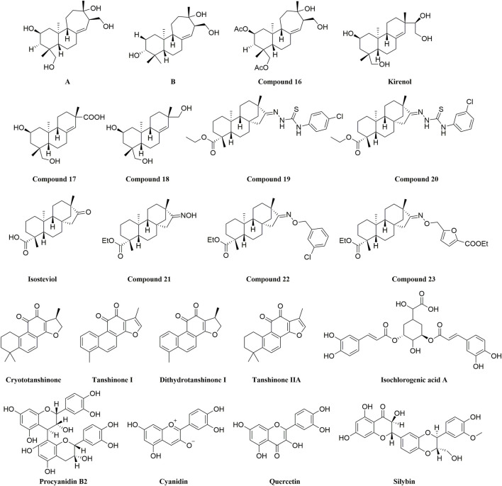 FIGURE 11