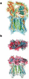 F<sc>ig</sc>. 7