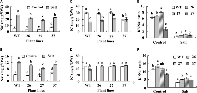 FIGURE 4