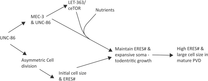 FIGURE 7: