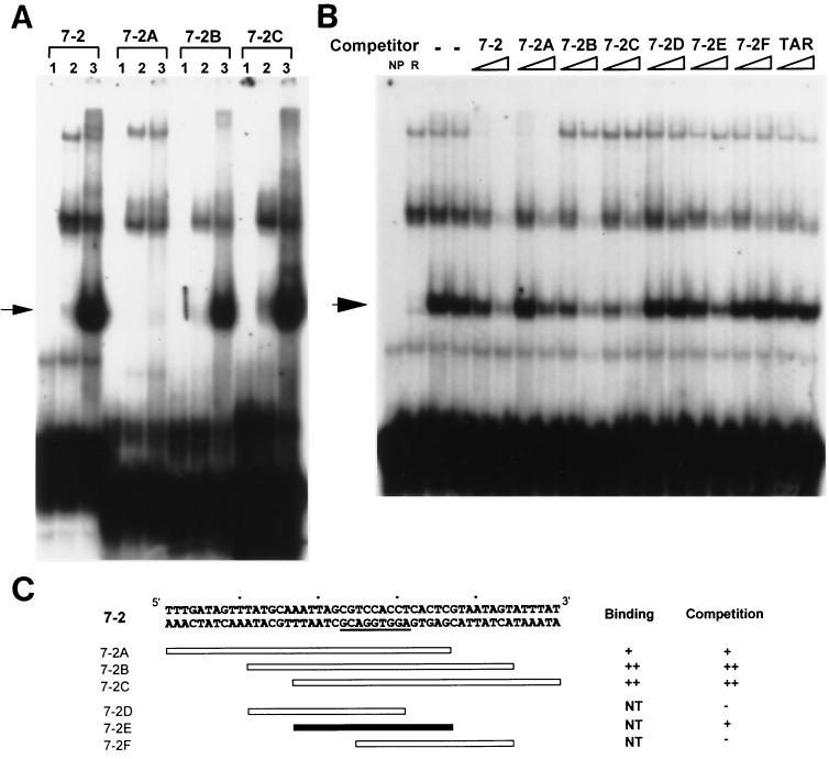 FIG. 7