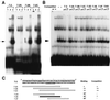 FIG. 7