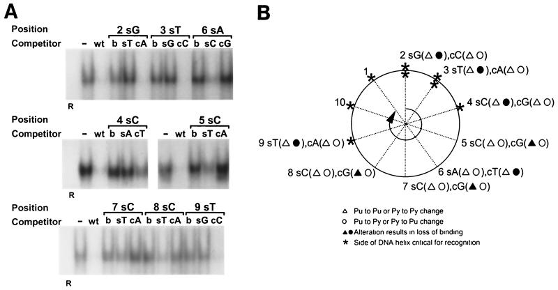 FIG. 10